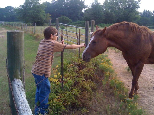 Making friends with Emma's horse